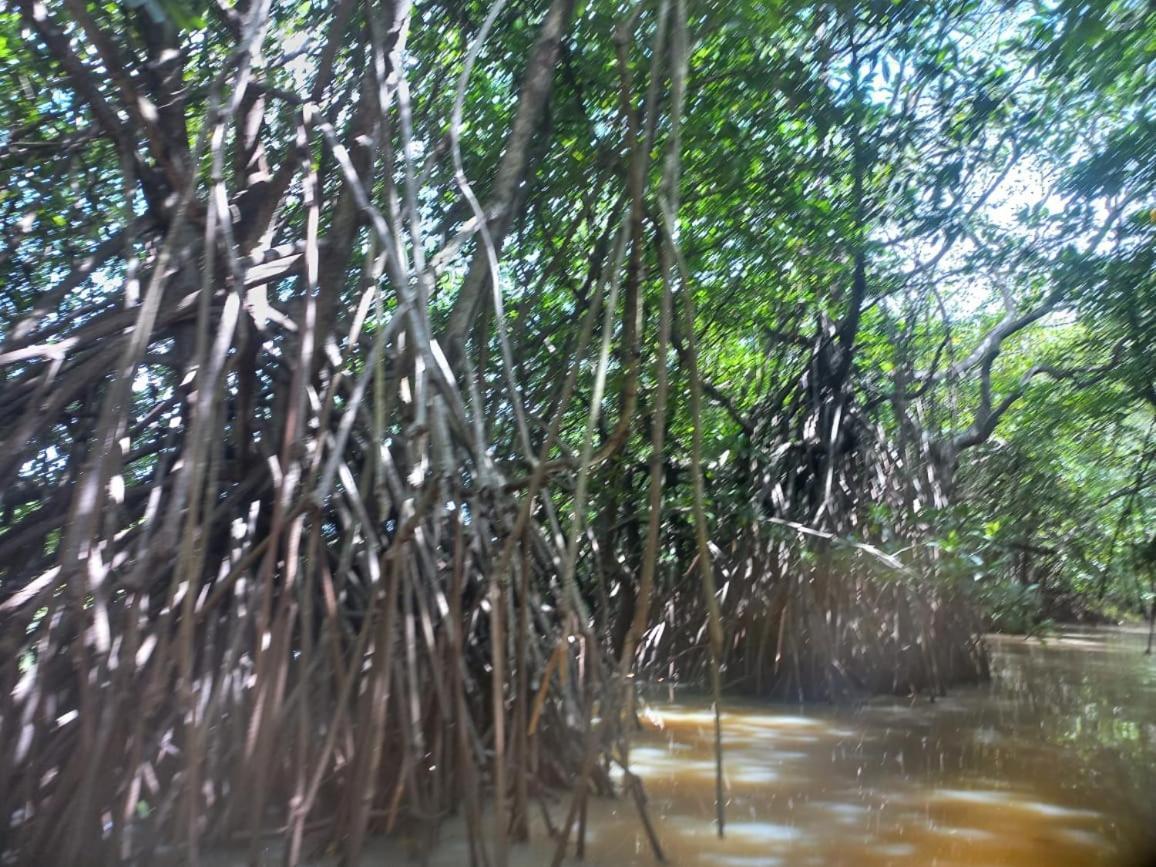 Senu Lagoon Villa Tangalle Ngoại thất bức ảnh